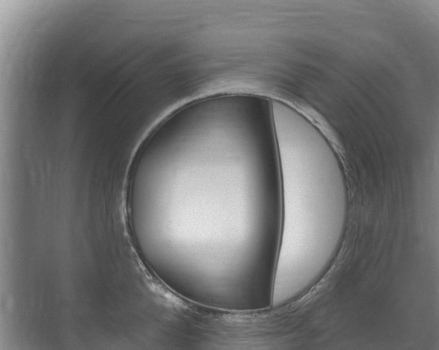 X0000073710904200608031037