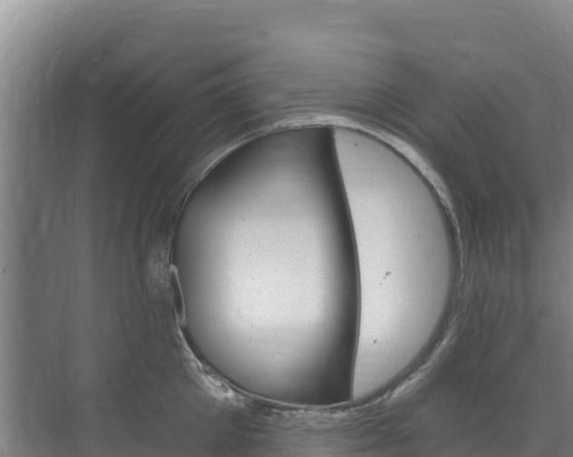 X0000073710905200608031037