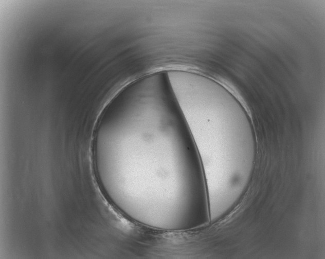 X0000073710906200608031037