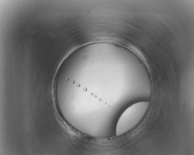 X0000073710907200608031037