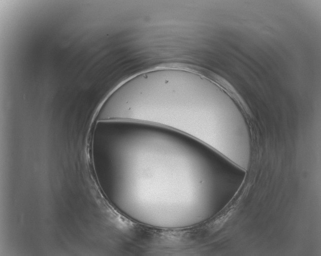 X0000073710908200608031037