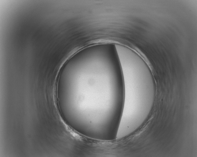 X0000073710909200608031037