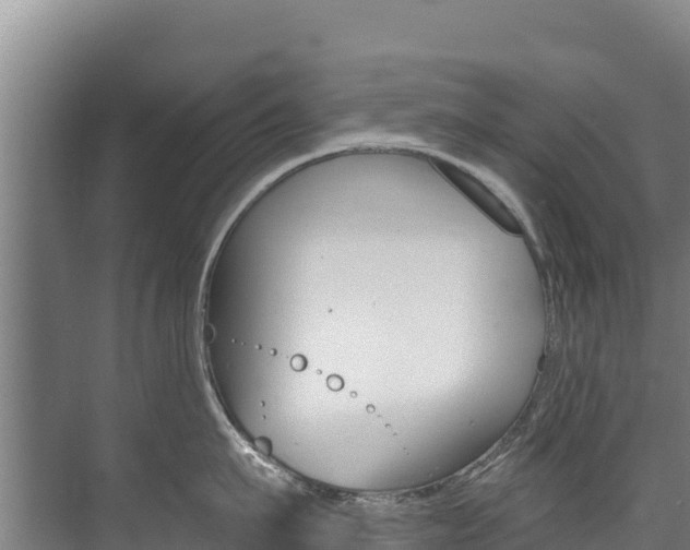 X0000073710911200608031037