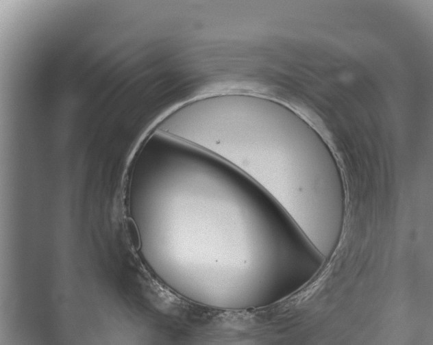 X0000073710912200608031037