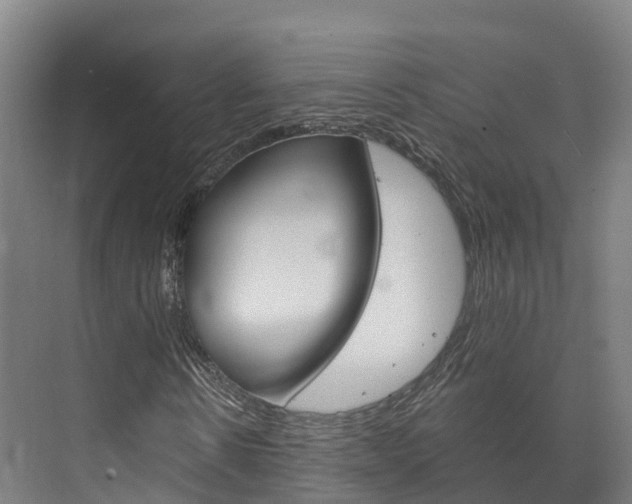 X0000073710914200608031036