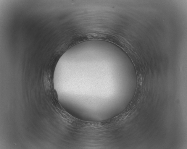 X0000073710915200608031036