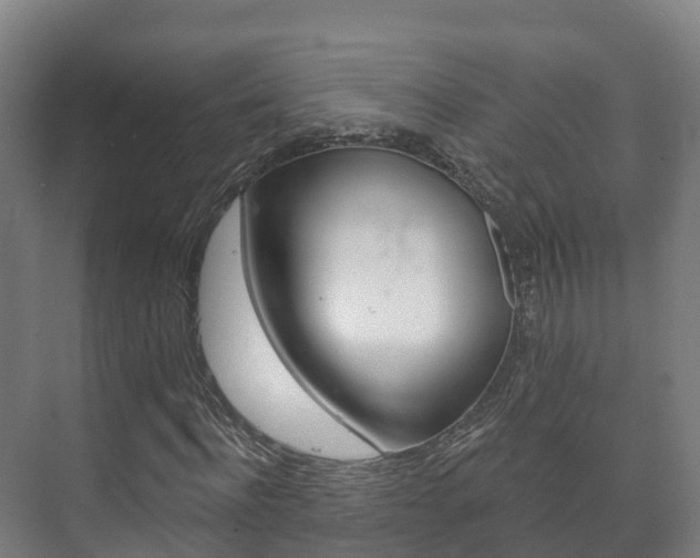 X0000073710916200608031036