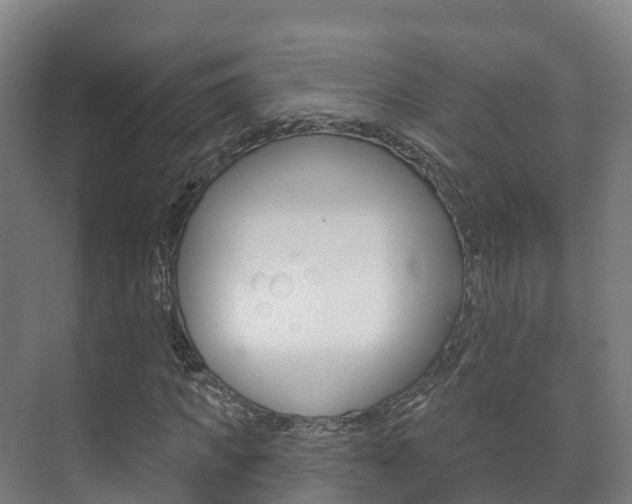 X0000073710917200608031036