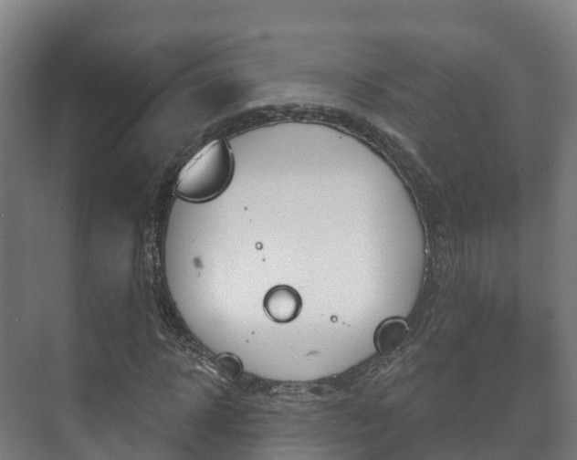 X0000073710918200608031036