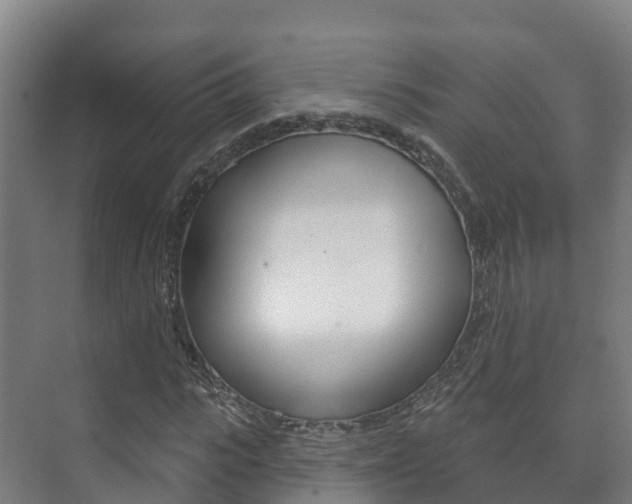 X0000073710919200608031036