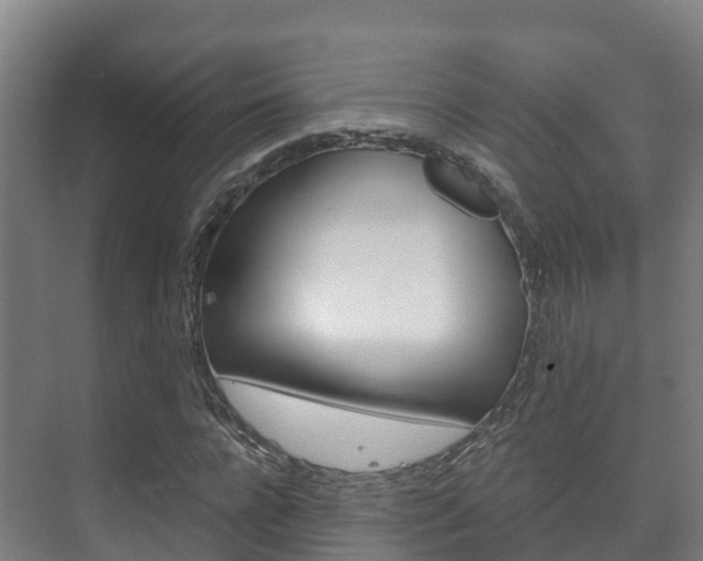 X0000073710920200608031036