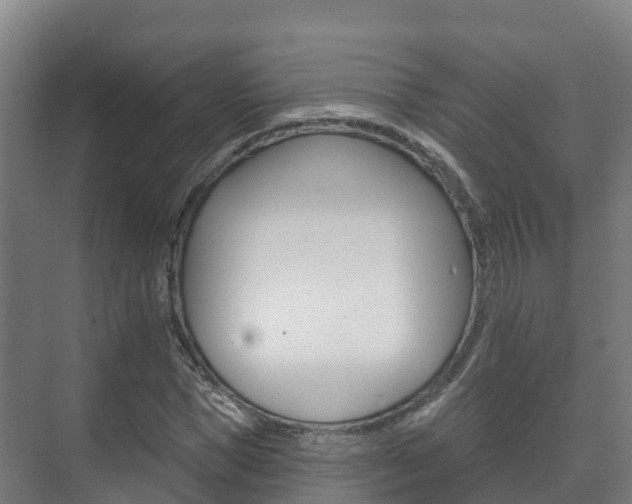 X0000073710921200608031036