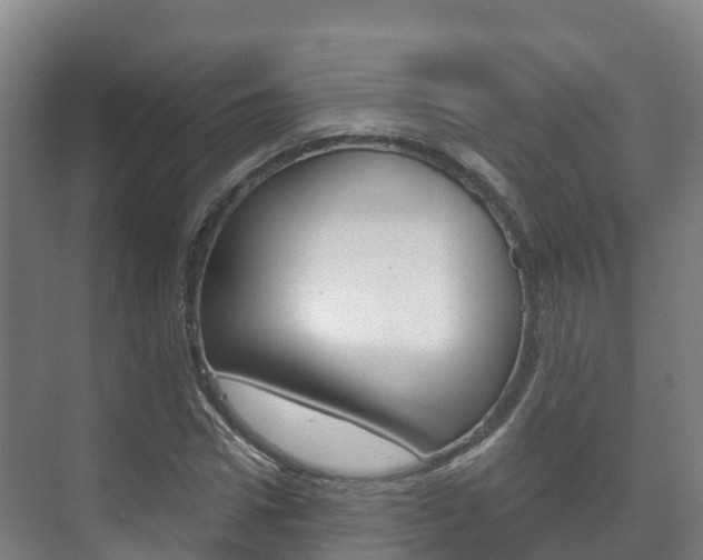 X0000073710922200608031036