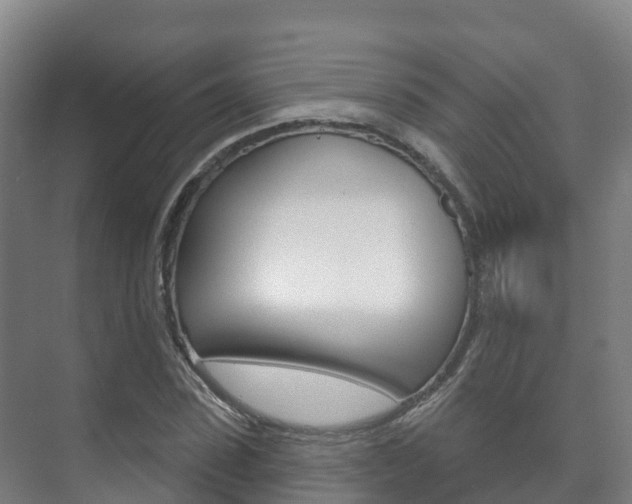 X0000073710923200608031036