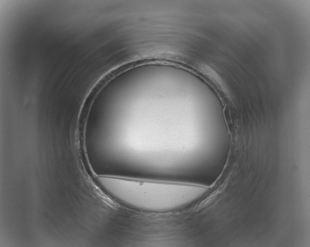 X0000073710924200608031036