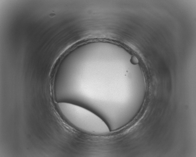 X0000073710925200608031036