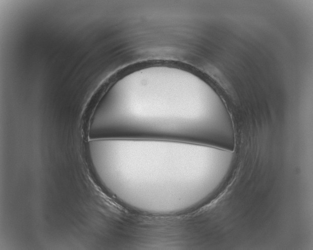 X0000073710926200608031036