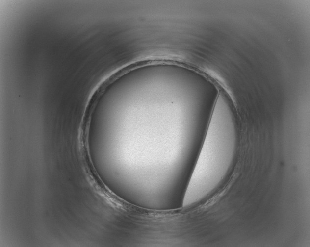 X0000073710928200608031036