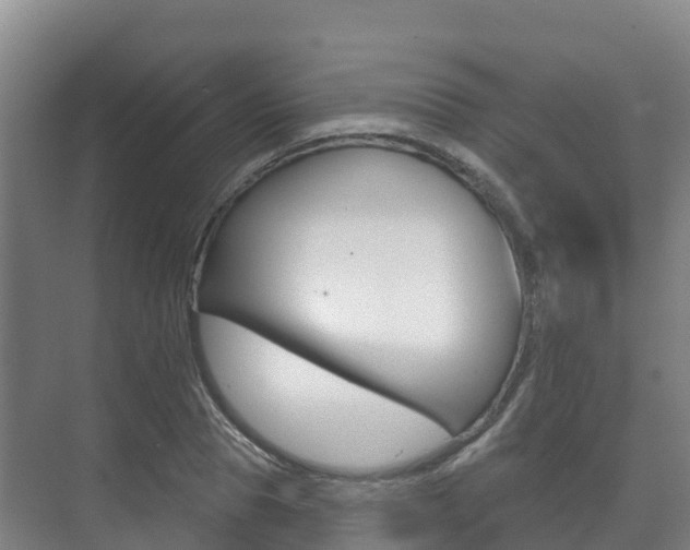 X0000073710929200608031036