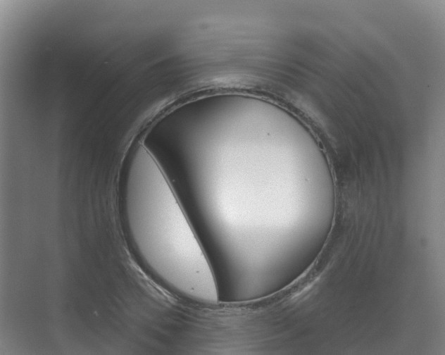 X0000073710930200608031036