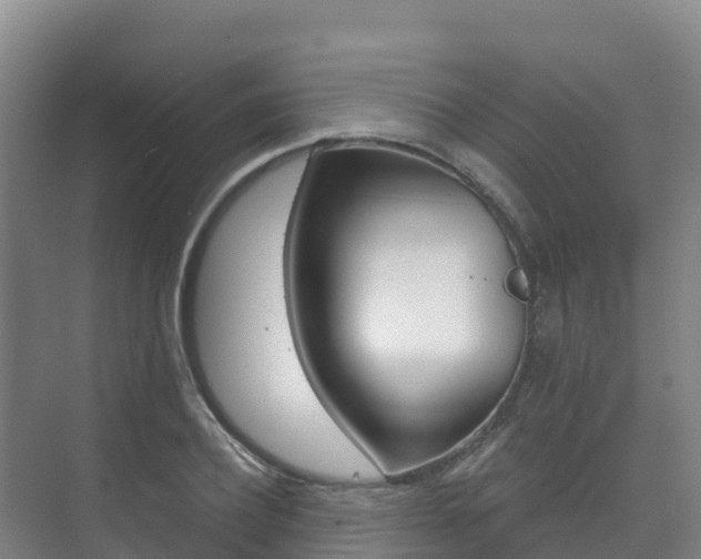 X0000073710932200608031037