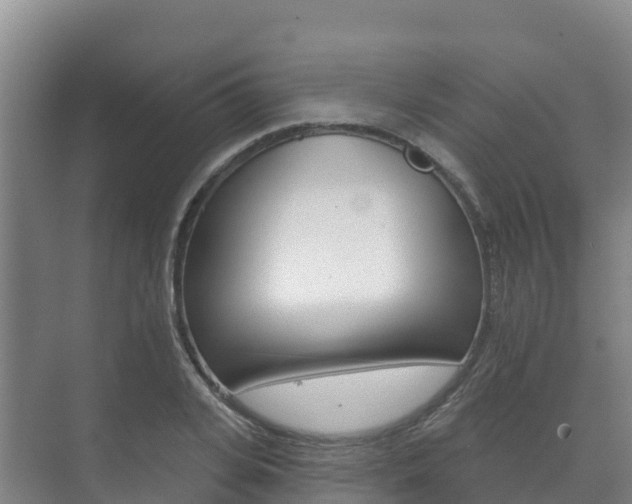 X0000073710935200608031037