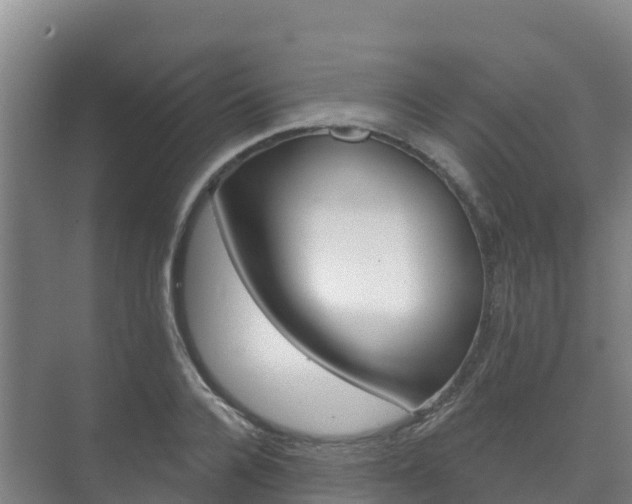 X0000073710936200608031037