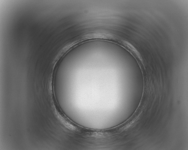 X0000073710938200608031037