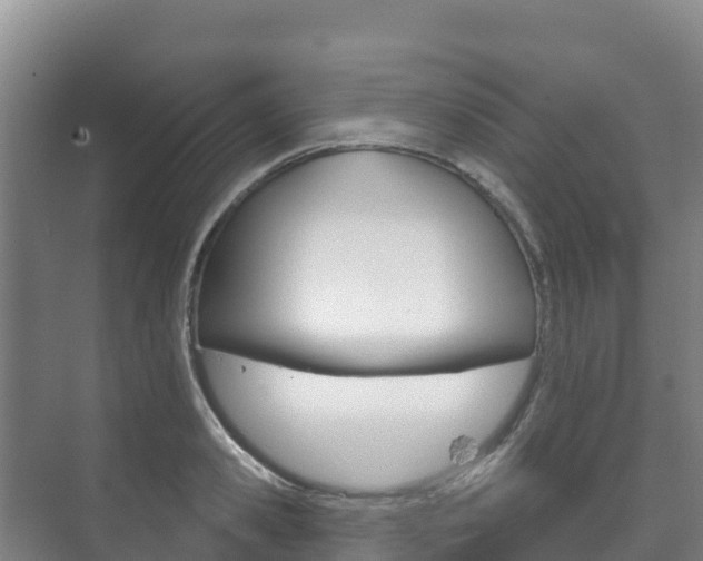 X0000073710941200608031037