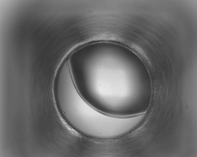 X0000073710942200608031037