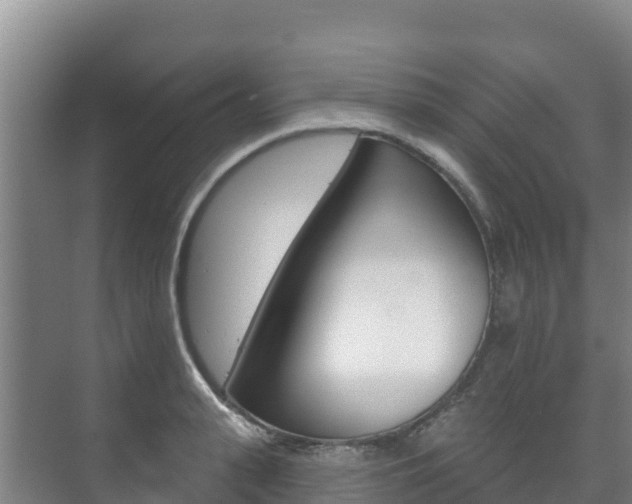 X0000073710943200608031037