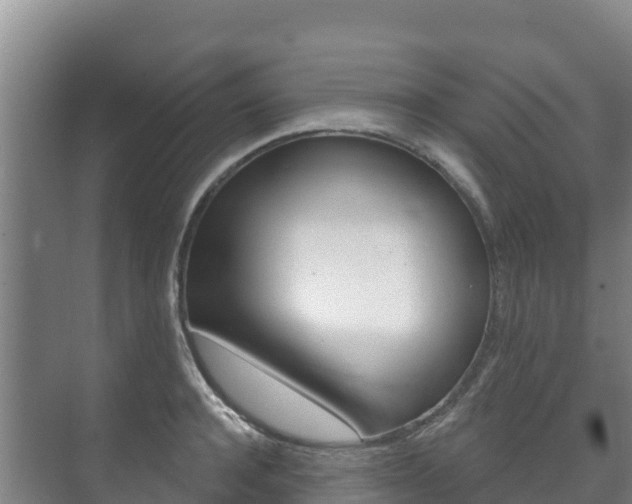 X0000073710944200608031037