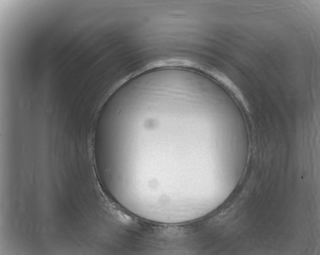 X0000073710945200608031037