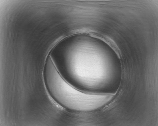 X0000073710946200608031037