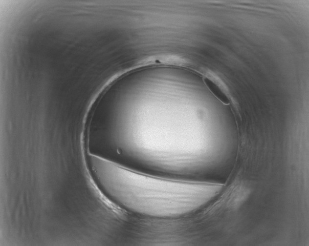 X0000073710947200608031037