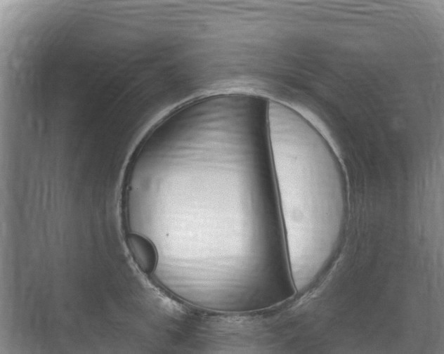 X0000073710949200608031037