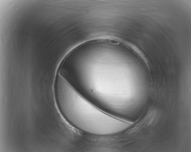 X0000073710951200608031037