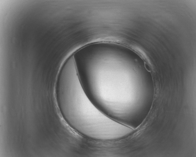 X0000073710952200608031037