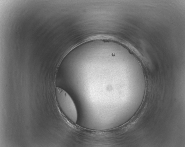 X0000073710953200608031037