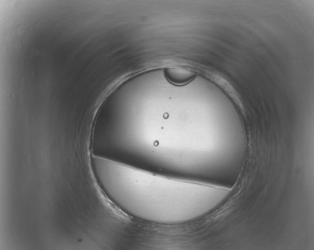 X0000073710954200608031037