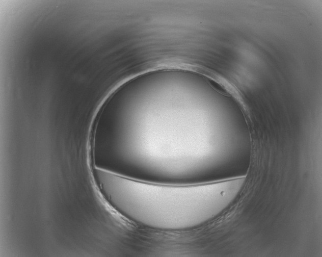 X0000073710955200608031037