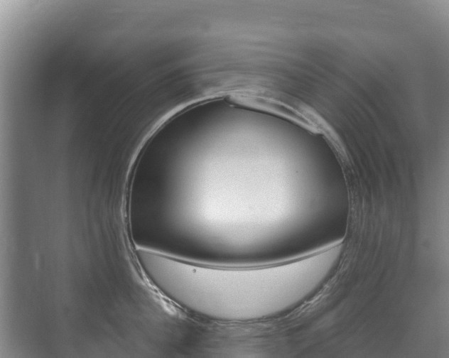 X0000073710956200608031037