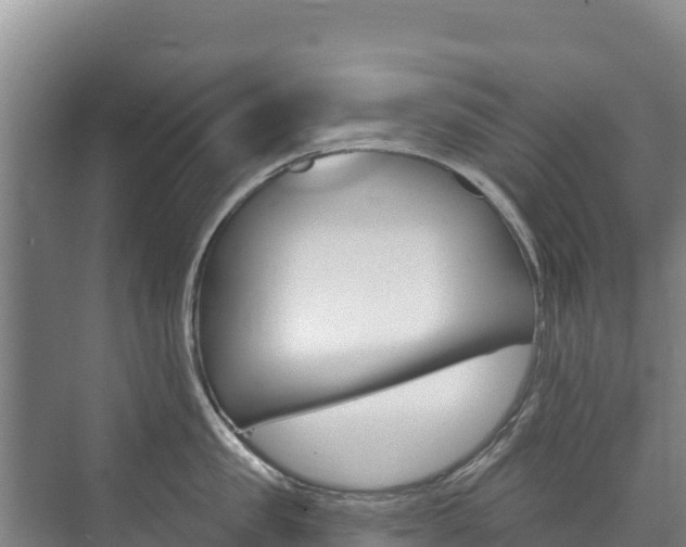 X0000073710957200608031037