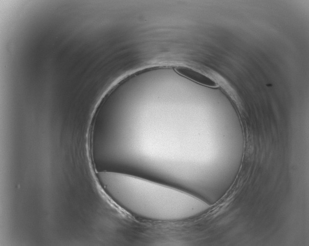 X0000073710958200608031037