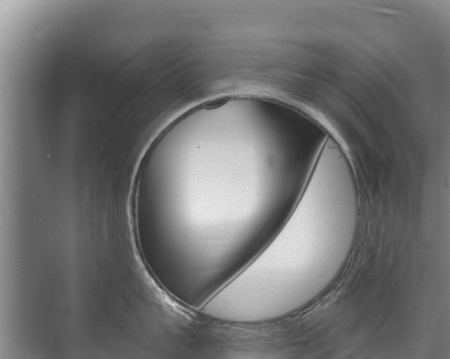 X0000073710959200608031037