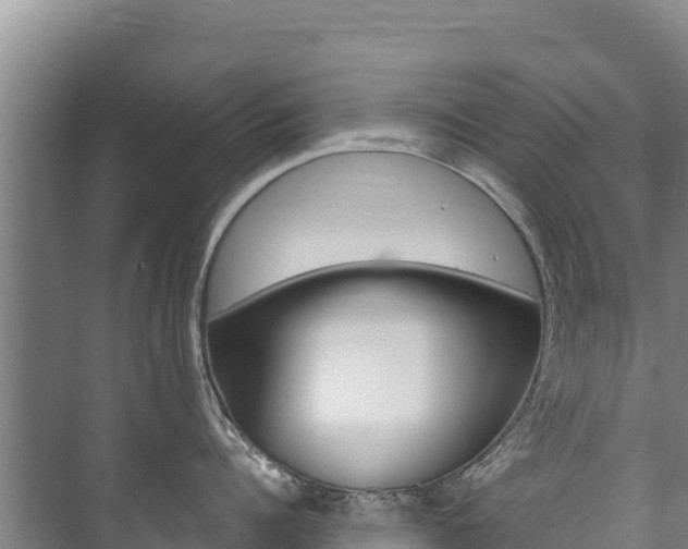 X0000073710960200608031037