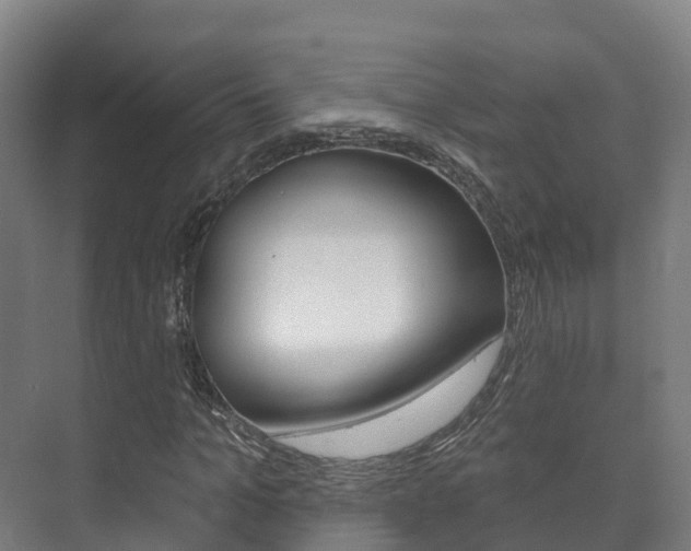 X0000073710965200608031036