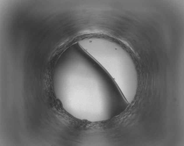 X0000073710967200608031036