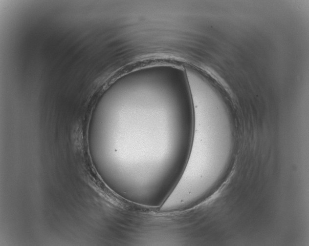 X0000073710969200608031036