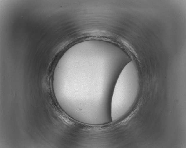 X0000073710970200608031036